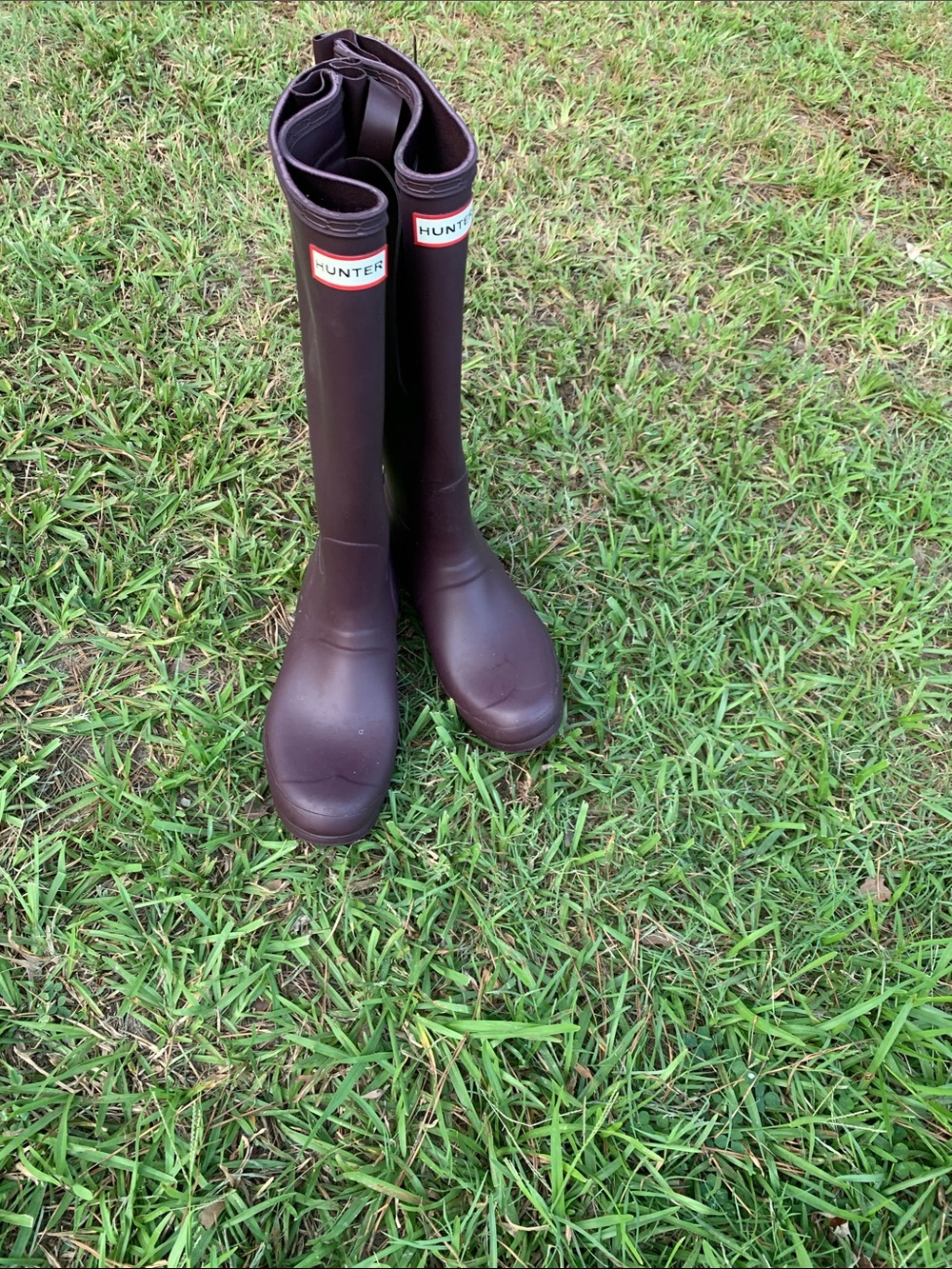 Hunter Tall Rain Boots in Dark Brown